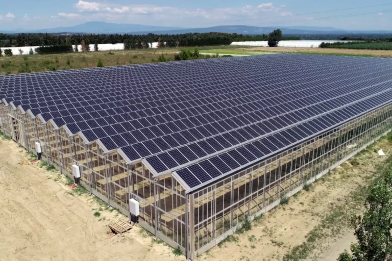 ФЕРМЕРСЬКІ ГОСПОДАРСТВА